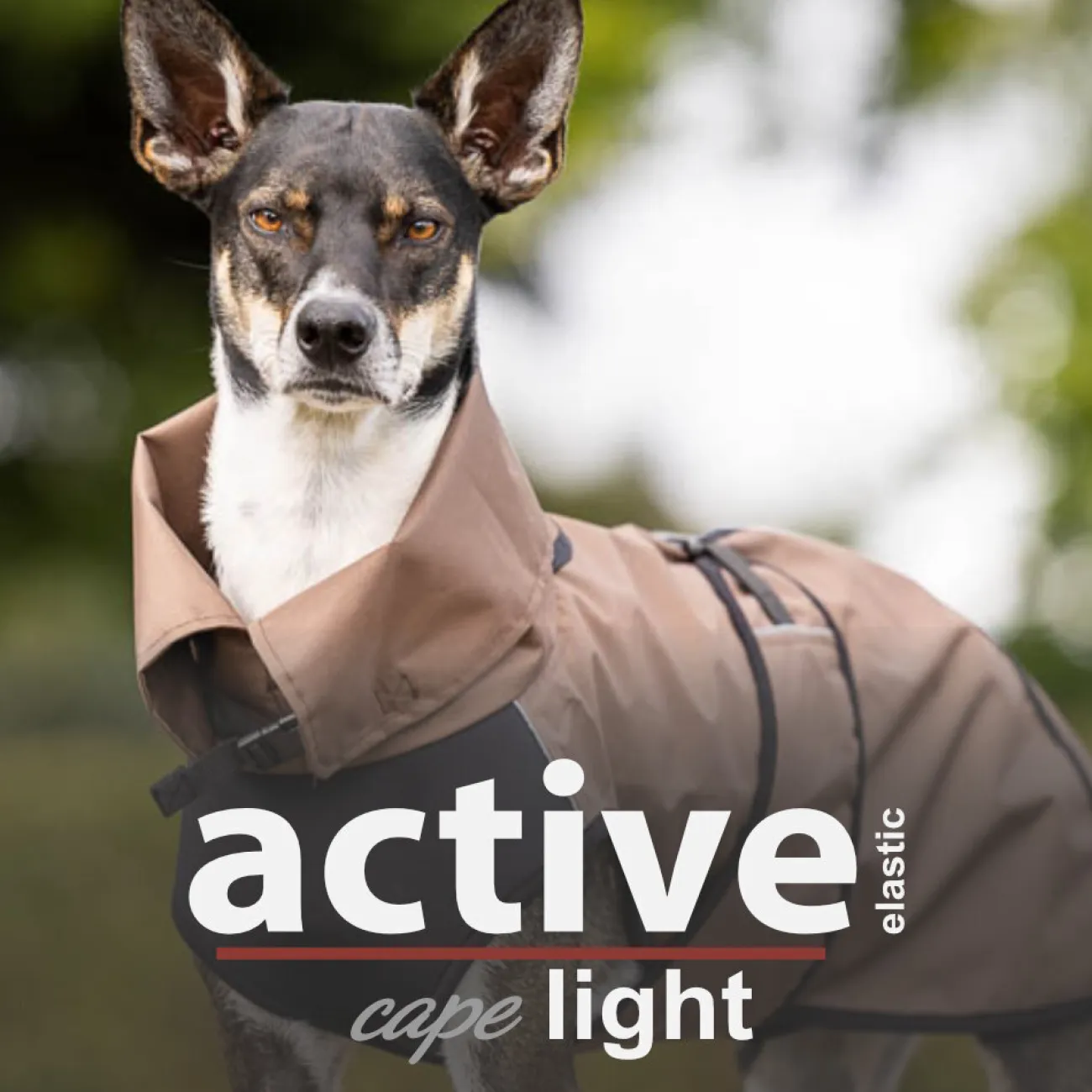 ActionFactory Hundebekleidung, Hundemantel | Hundebekleidung- Active Cape Elastic Light