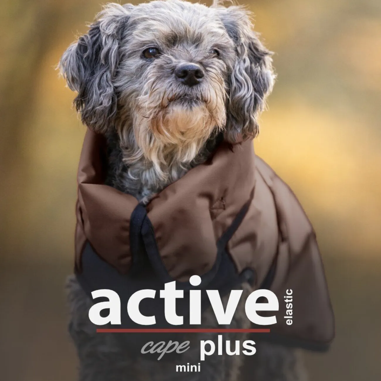 ActionFactory Hundebekleidung, Hundemantel | Hundebekleidung- Active Cape Elastic Plus Mini