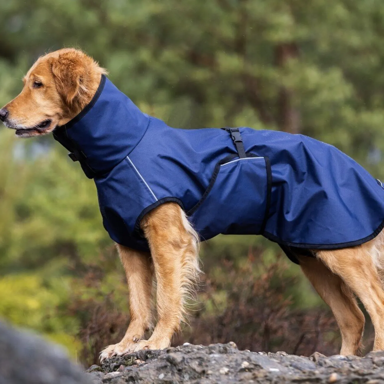 ActionFactory Hundebekleidung, Hundemantel | Hundebekleidung- fit4dogs Active Cape Wind & Rain Mini