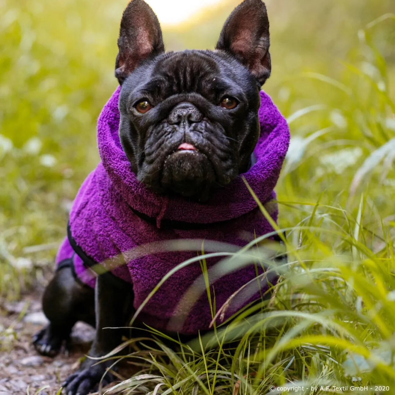 ActionFactory Ungezieferschutz | Pflegeprodukte Für Hunde- fit4dogs DryUp Cape Trockenmantel für Mops und Co