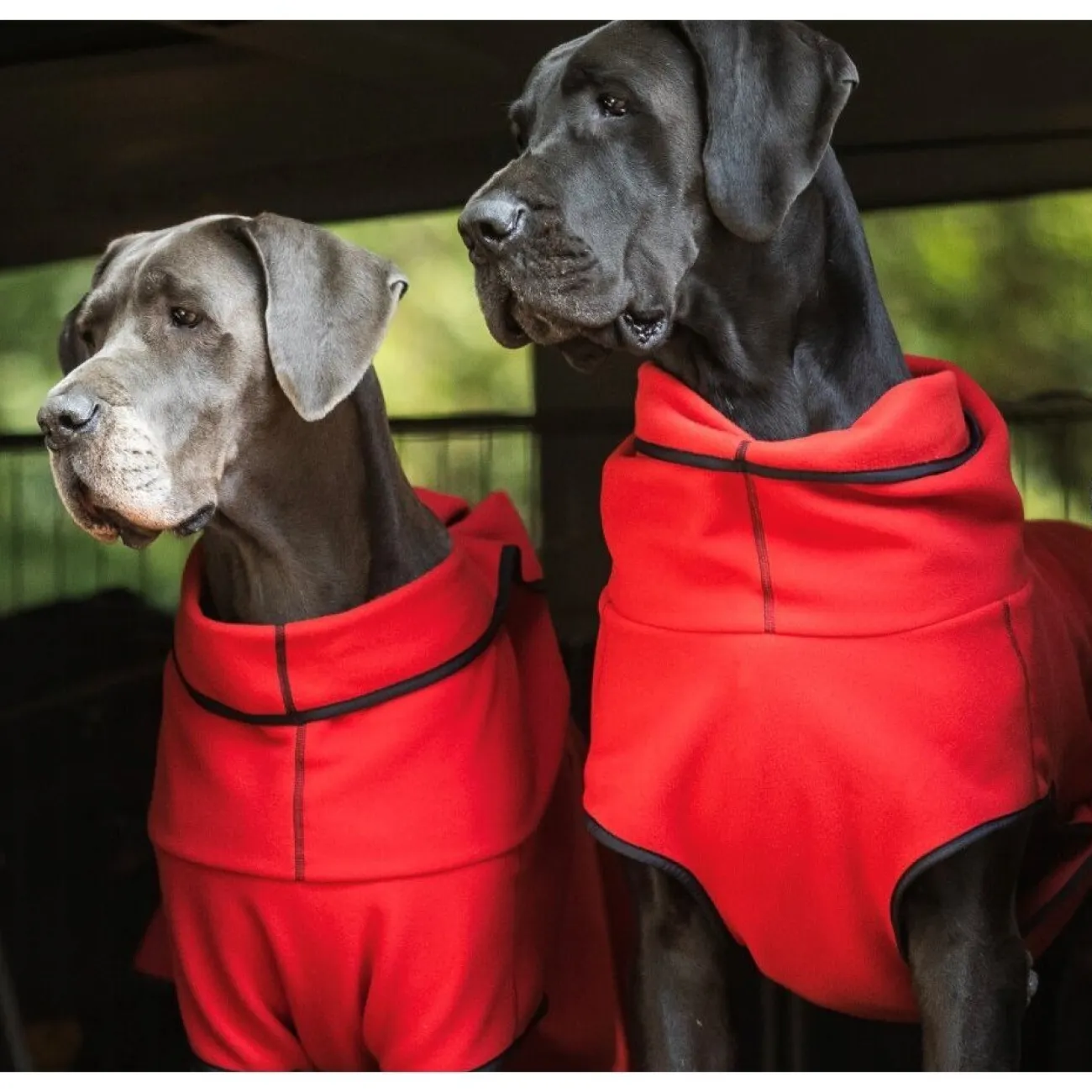 ActionFactory Hundebekleidung, Hundemantel | Hundebekleidung- Warmover Fleece Cape Big