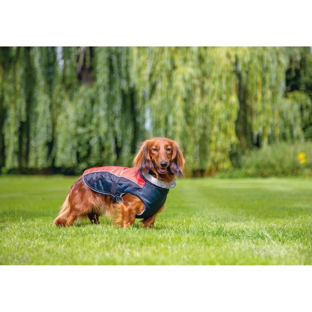 Beeztees Hundebekleidung, Hundemantel | Hundebekleidung- Hundemantel Saby