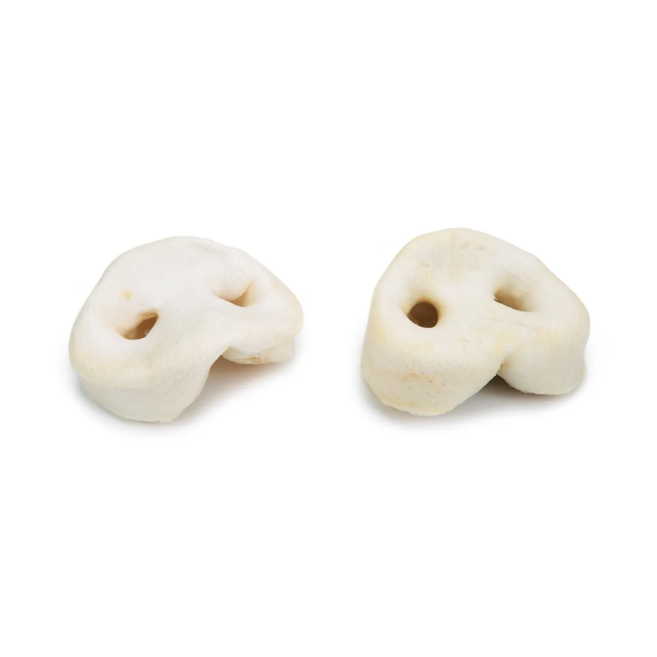 Beeztees Trainingssnacks Für Hunde | Trainersnacks- Hundesnack Schweinenase geröstet