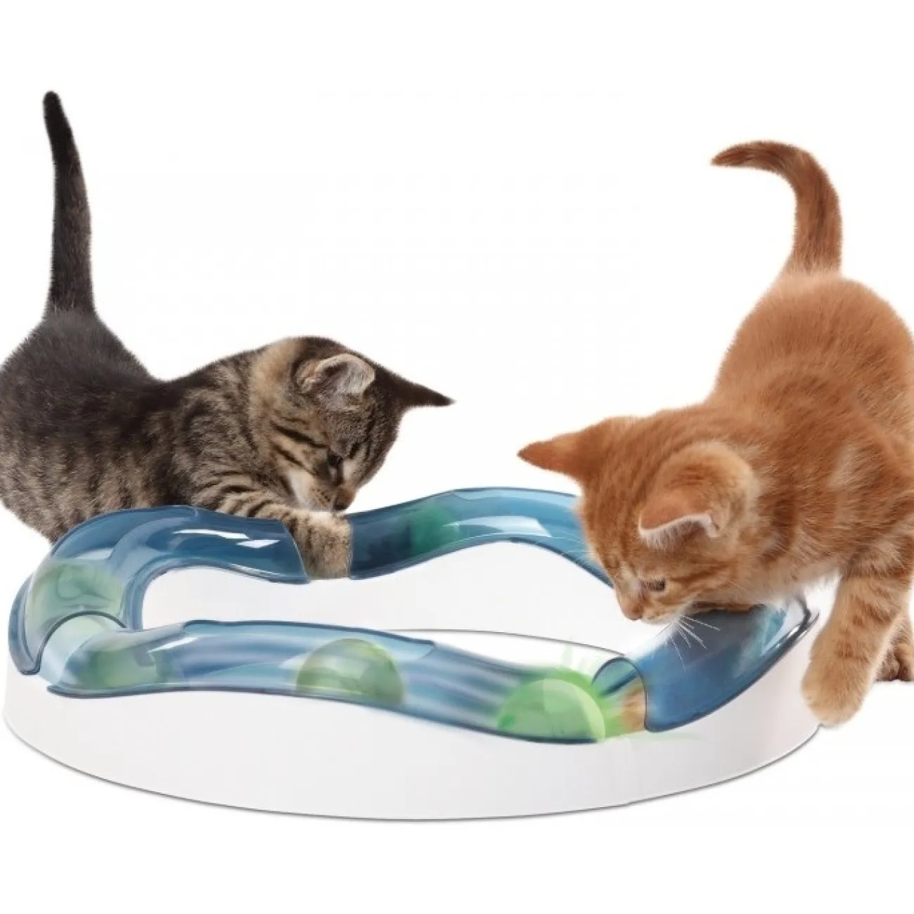 Catit Kong Katzenspielzeug | Catit Katzenzubehör- Design Senses Senses Tempo Spielschiene blau