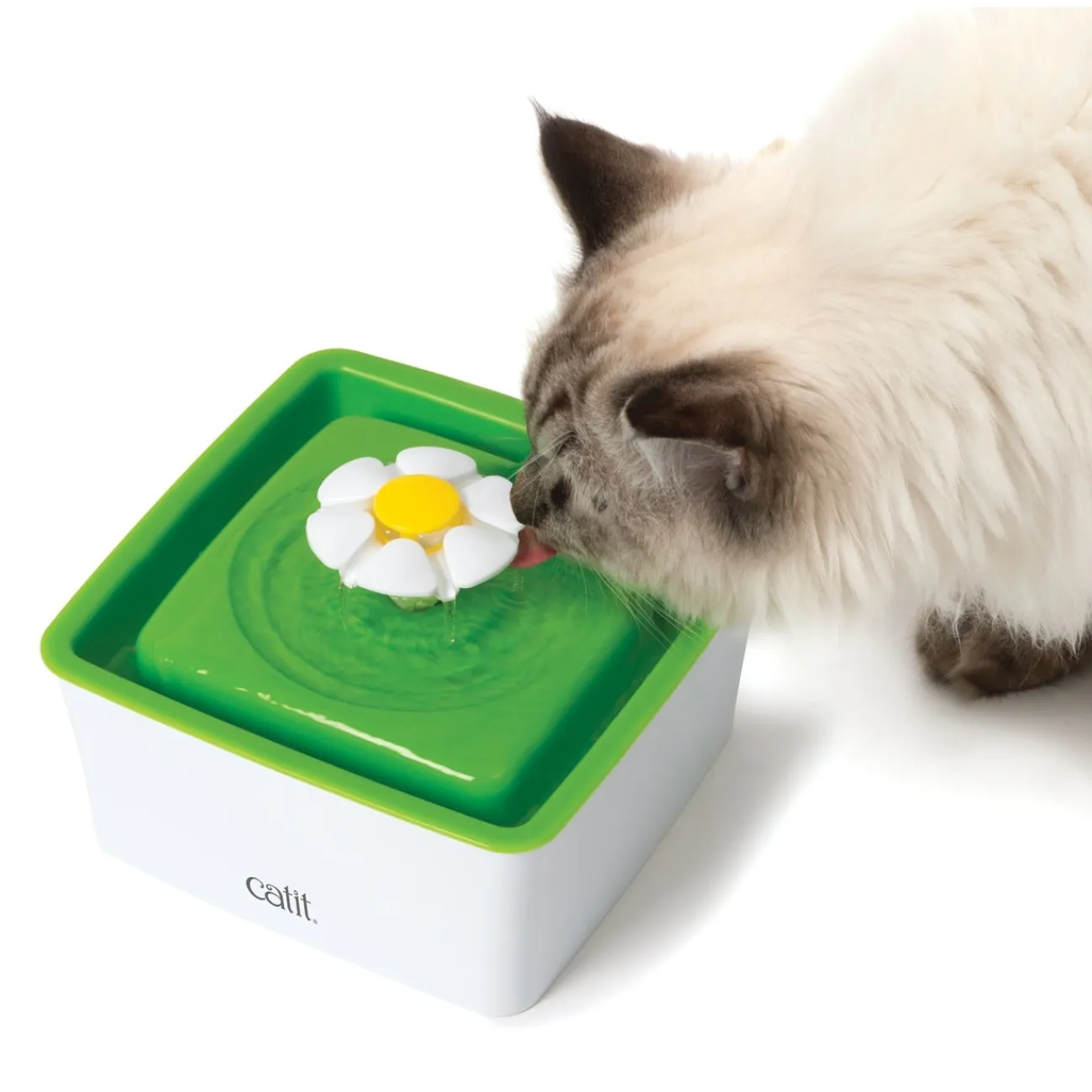 Catit Catit Katzenzubehör | Trinkbrunnen Für Katzen- Minitrinkbrunnen mit Blume grün