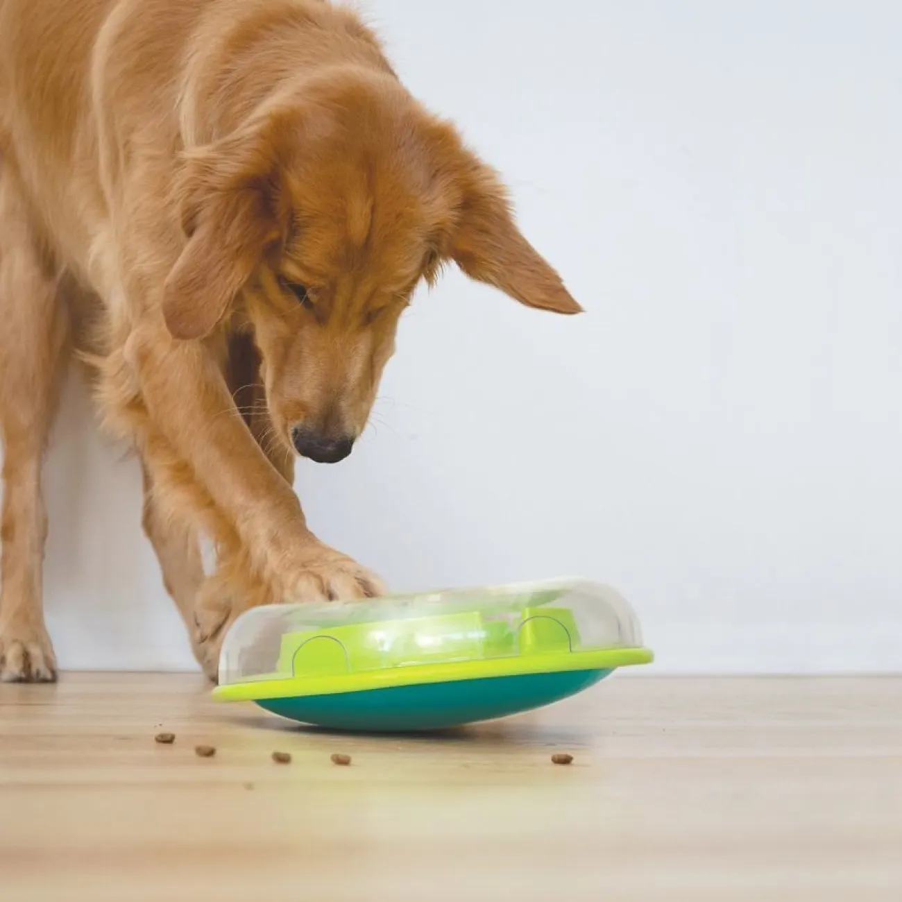 Nina Ottosson Hundenäpfe & Futterautomaten | Futterautomaten, Trinkbrunnen, Näpfe- Hundespielzeug Wobble Bowl grün