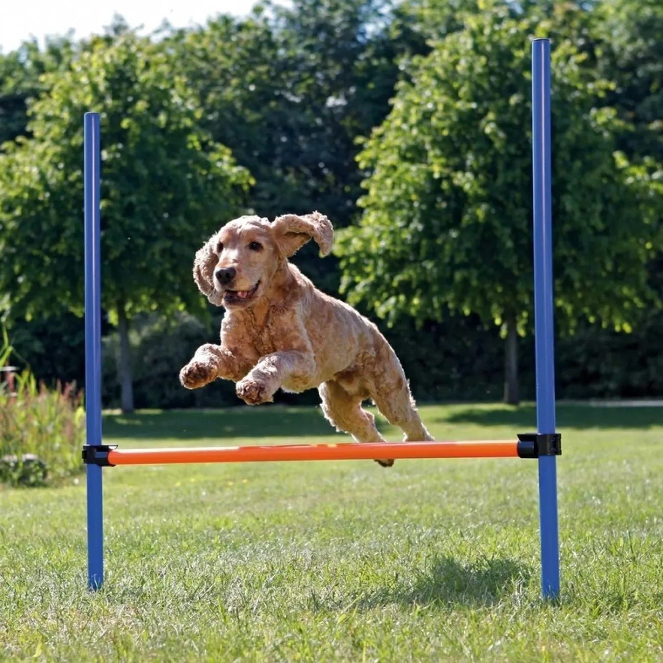 TRIXIE Ausbildung & Erziehung | Wasserspielzeug- Agility Hürde blau