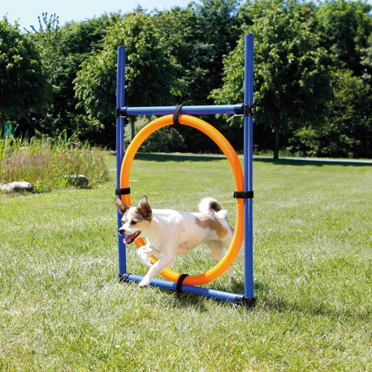 TRIXIE Ausbildung & Erziehung | Wasserspielzeug- Agility Ring blau