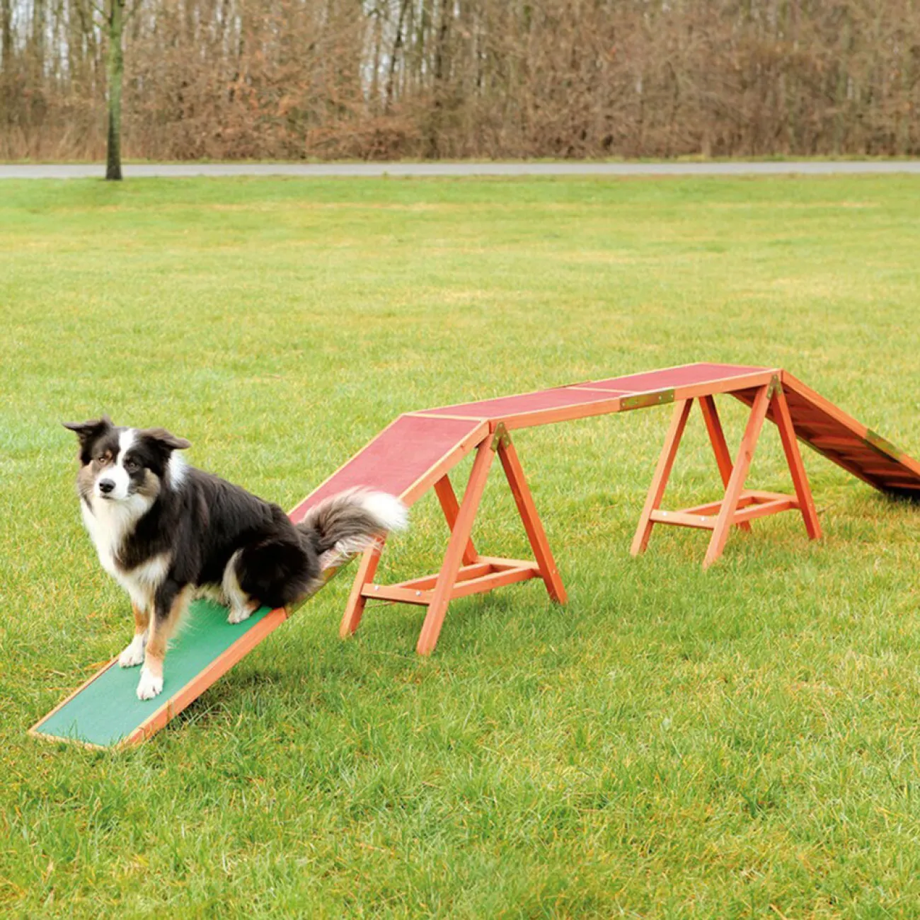 TRIXIE Ausbildung & Erziehung | Wasserspielzeug- Agility Steg rot