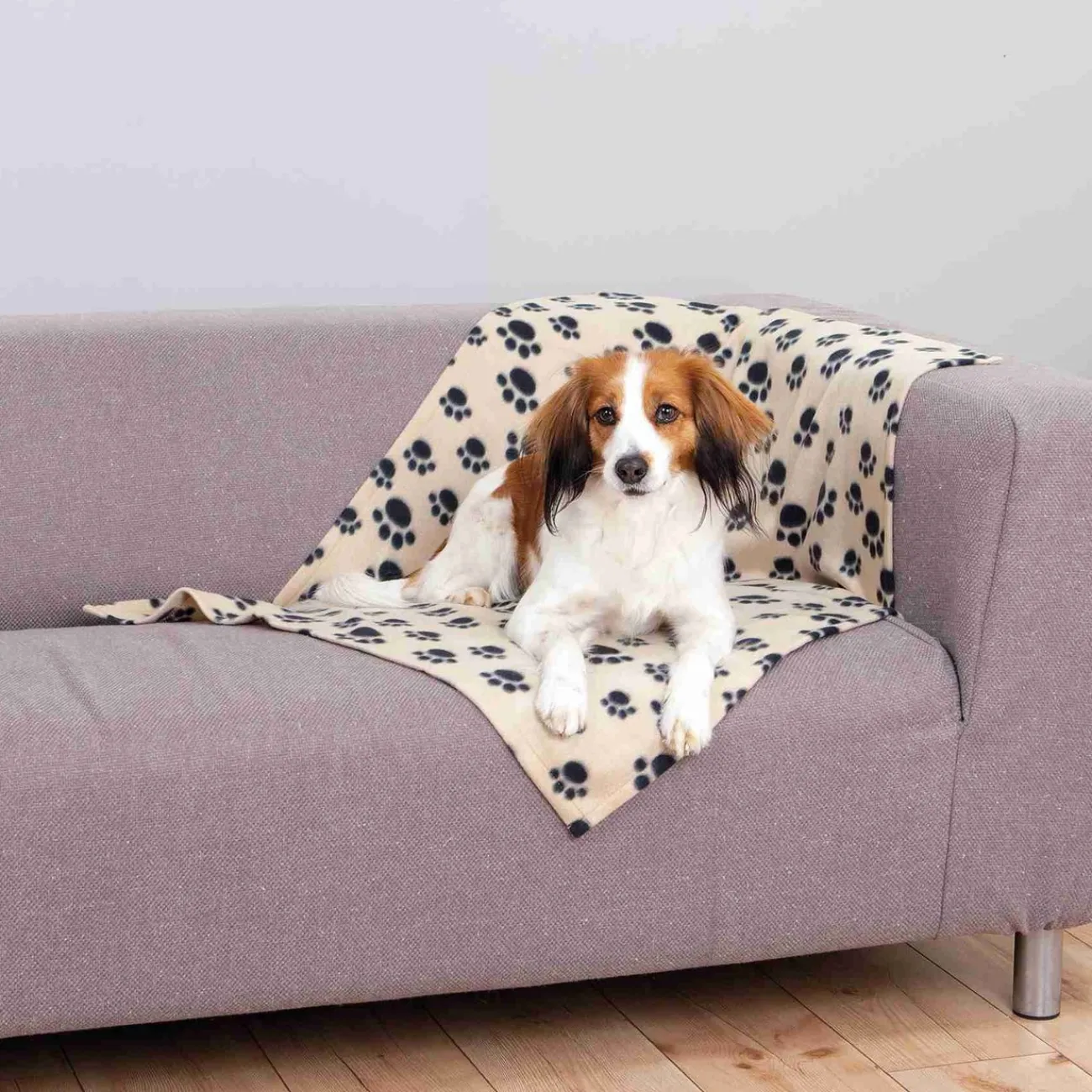 TRIXIE Welpenzubehör | Hundezubehör- Hundedecke Beany Fleece