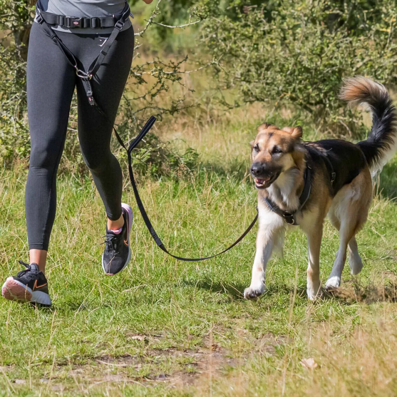 TRIXIE Hundezubehör | Mehr Hundeartikel- Joggingleine, Bauchgurt mit Hundeleine für mittelgroße und große Hunde schwarz