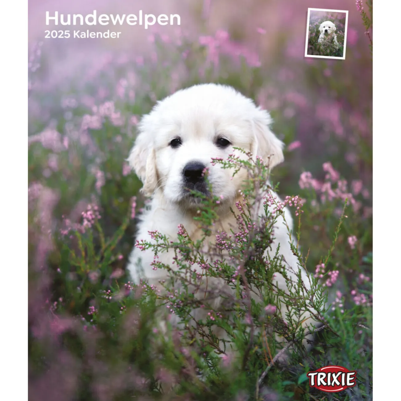 TRIXIE Welpenzubehör- Kalender Hundewelpen mehrfarbig