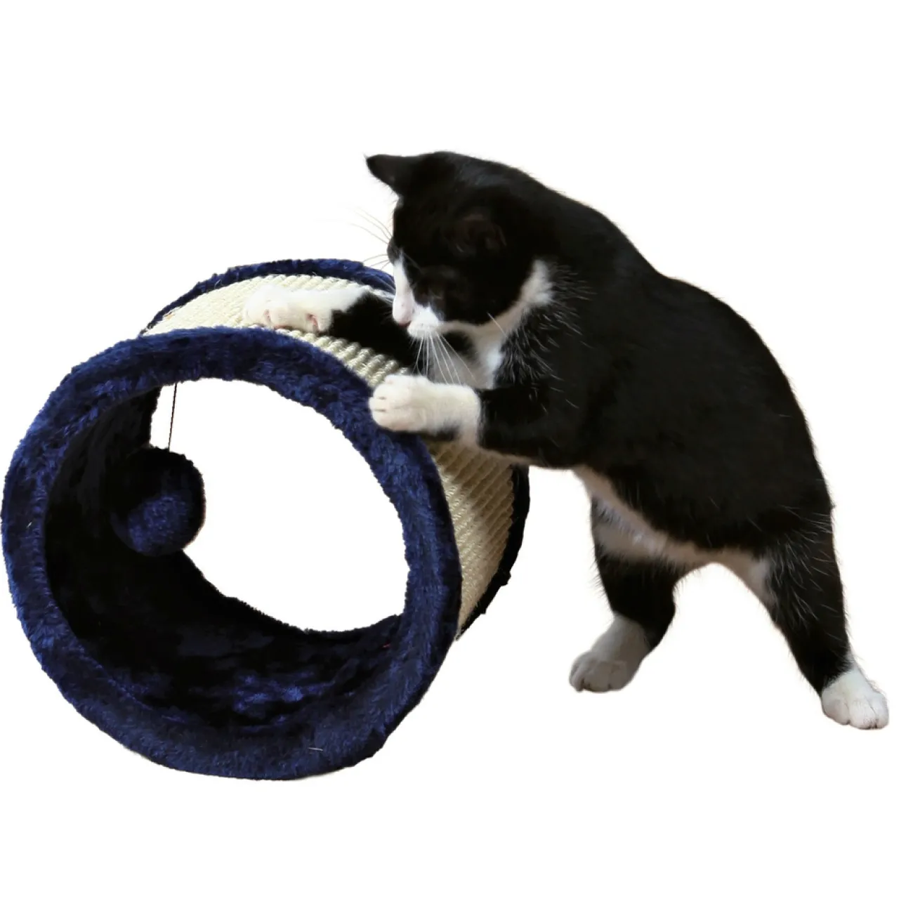 TRIXIE Wandmöbel | Kratzpappen- Sisal-Spielrolle für Katzen, ø 23 × 20 cm, blau